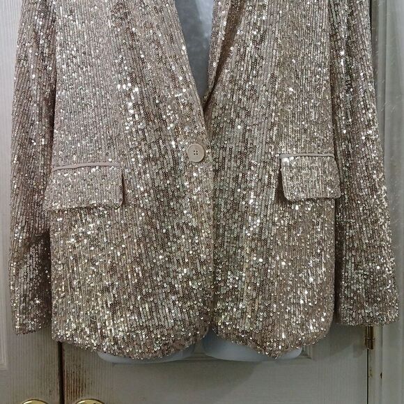 Banana Republic beige sequin blazer Sz 4 NWOT Classy unique Party - Picture 2 of 8